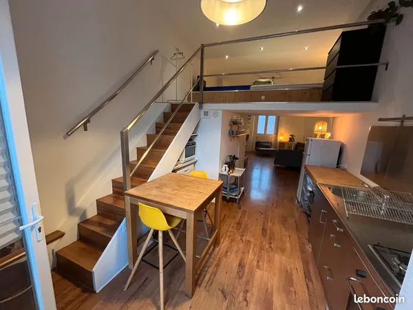Appartement style loft 55 m2