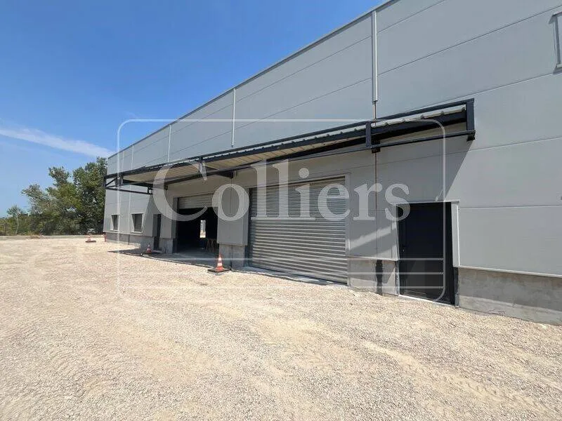 Photo 3