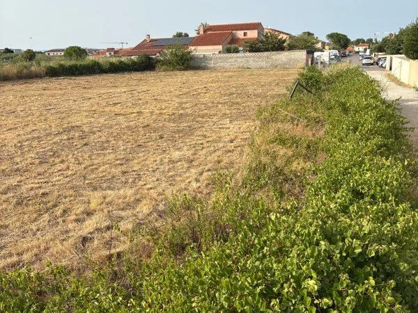 Location terrain