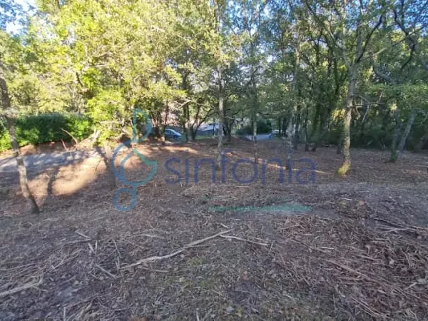 Terrain 1500 m²