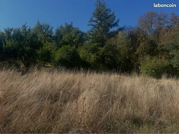 Chateauneuf terrain constructible