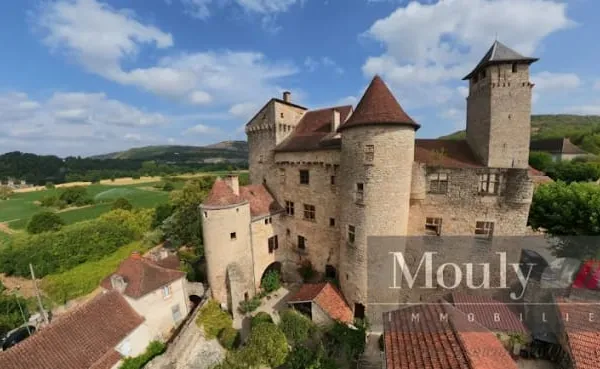 Château 15 pièces 540 m²