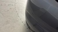 Renault Mégane 1.3 TCe 140ch FAP Intens — photo 21