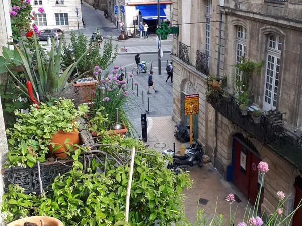 Loue Bordeaux centre grande chambre meublée avec balcon type studio - 25m²