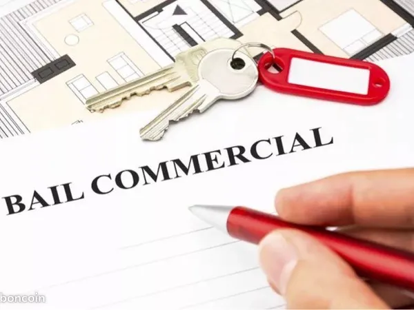 Local commercial Lyon 1