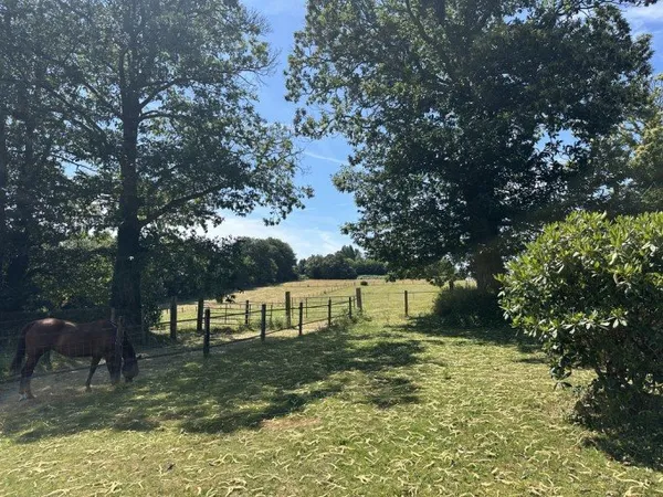 Bien agricole et foncier Vente Bannalec 5p 108m² 442000€