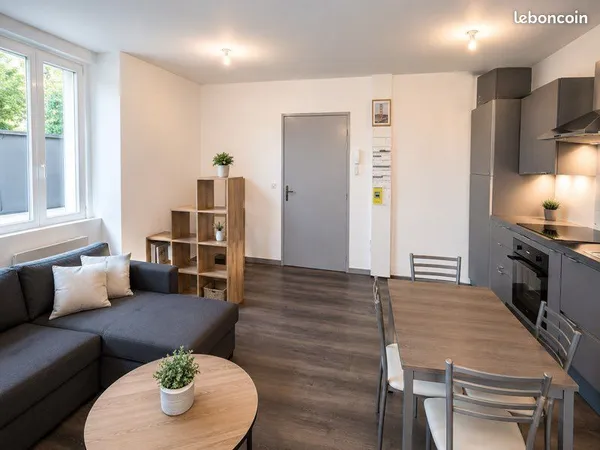 Appartement meublé Hypercentre avec terasse de 20m2
