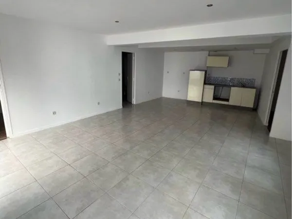 Appartement T3 55m2 lumineux et rénové à Croix