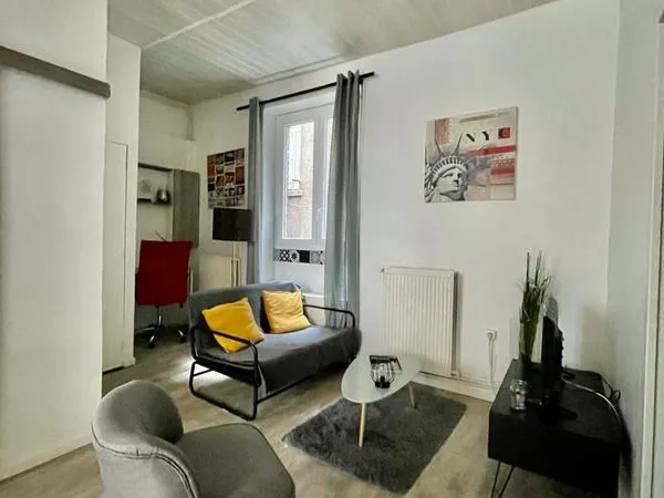 Appartement Location Saint-Étienne 3p 49m² 550€