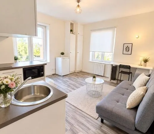 Studio meublé de 25 m² - 450 CC