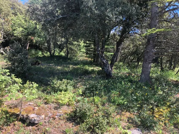 Terrain 13700 m²
