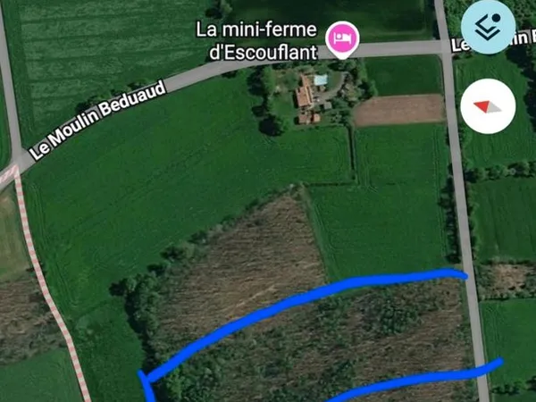 Forêts châtaigniers terrain de loisirs