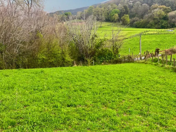 Terrain 647 m²