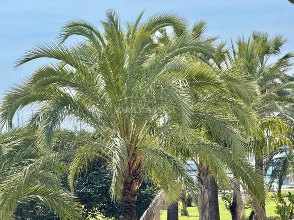 À louer - Cannes Croisette | Appartement d'exception de 160 m² -