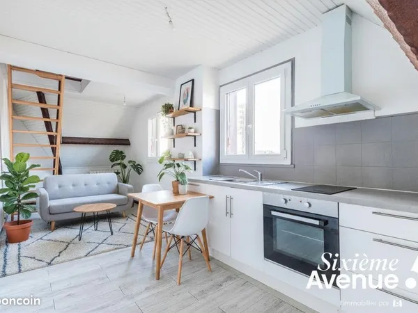 Combles aménagés 3 pièces 44 m²