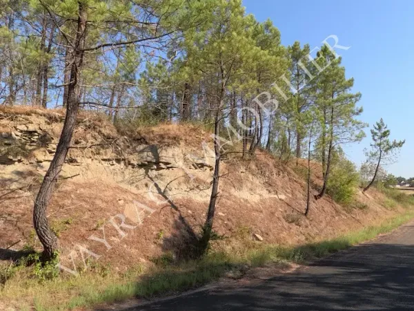 Terrain 4071 m²