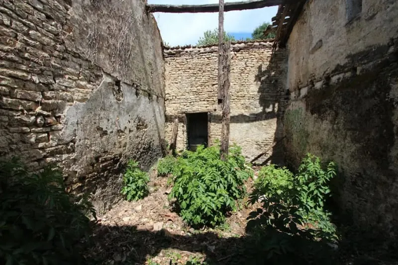 Photo 4