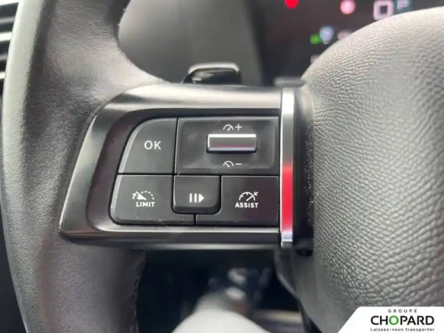 Citroën C4 societe bluehdi 130 s&amp;s eat8 — photo 16