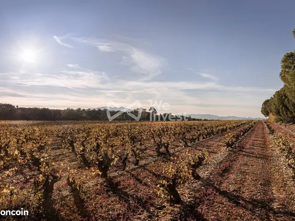 Terrain 1642 m² Perpignan