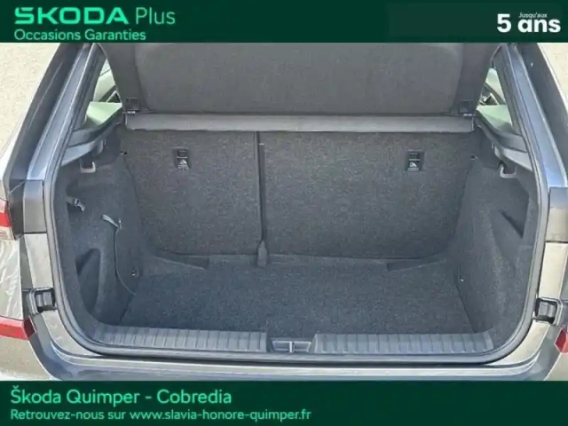 Skoda Kamiq 1.0 tsi evo 2 116ch monte carlo dsg7 — photo 7
