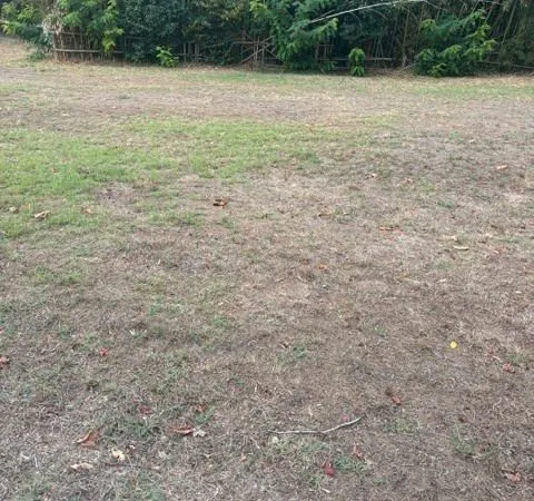 Projet de 5 lots diffus sur Saumos 33680, terrain à bâtir de 1400 m² proposé en exclusivité par les 