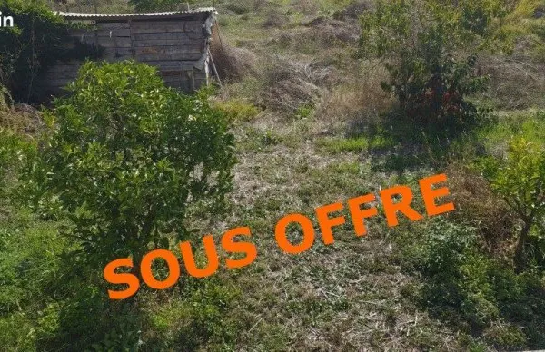 Terrain 1500 m² BASTELICACCIA