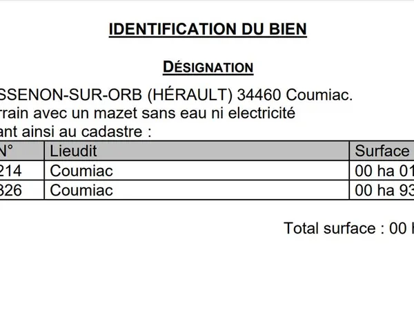 Mazet sur terrain 10 000 m2