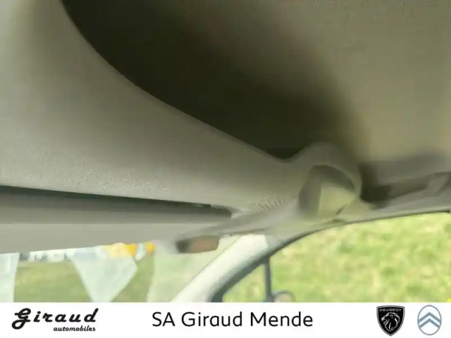 Citroën Berlingo van m 650 bluehdi 100 s&amp;s bvm6 — photo 28