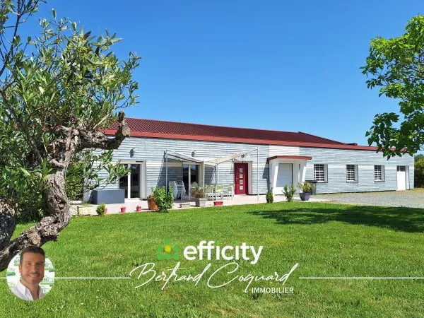Local commercial 6 pièces 550 m²