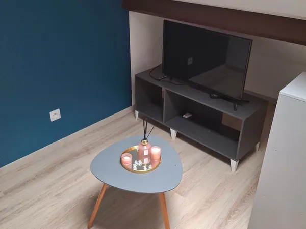 Appartement meublé 2 pièces 30 m² - Vichy - 540 CC