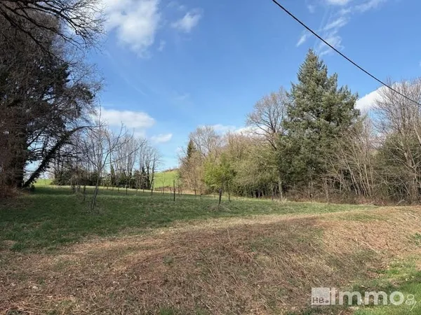 Terrain 4905 m²