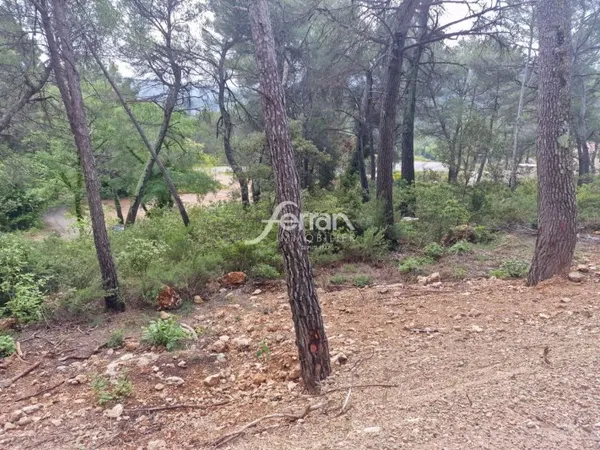 Terrain en individuel 432 m²