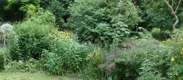 Terrain de loisirs, jardin d'agrement avec pièce d'eau