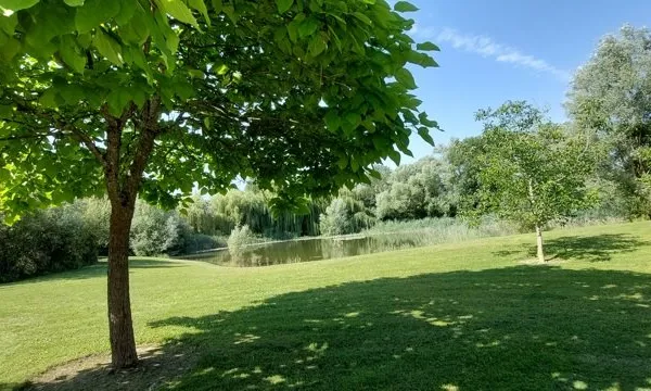 Terrain 14200 m²