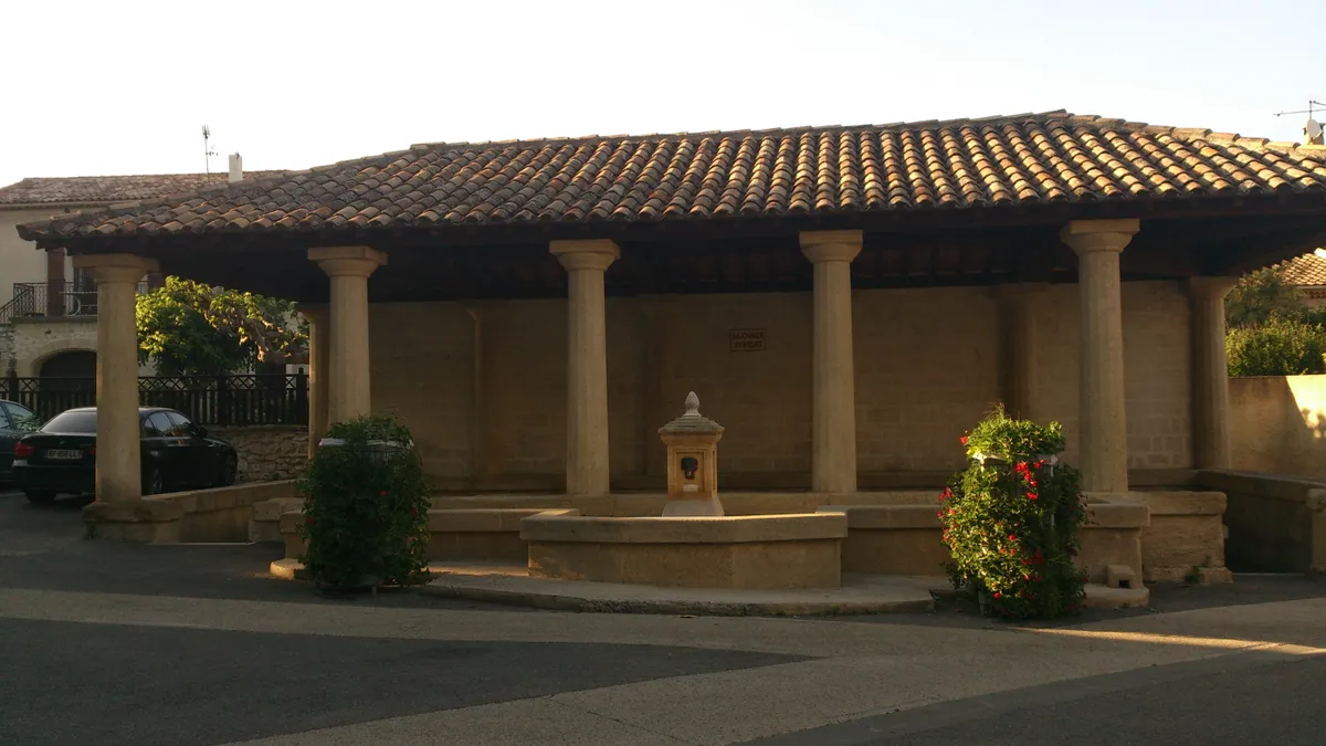 Photo 11