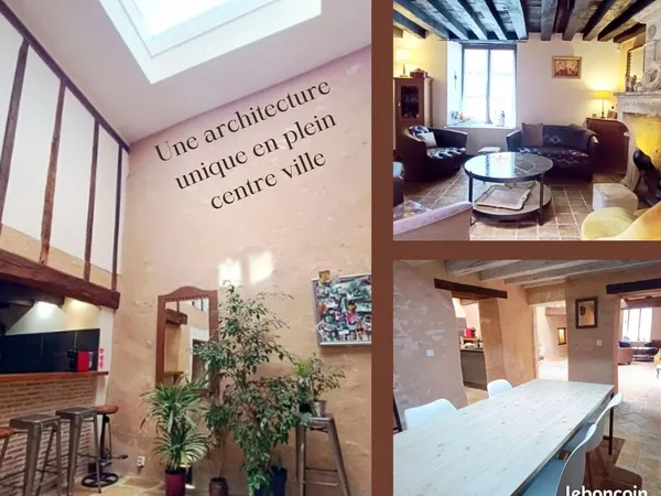 Hyper-centre Châteauroux - Maison de caractère atypique - 188 m² - 4 chambres - 2 terrasses - Jardin