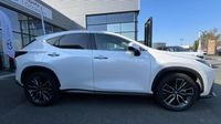 Lexus Nx 450h+ Executive 4WD — photo 4