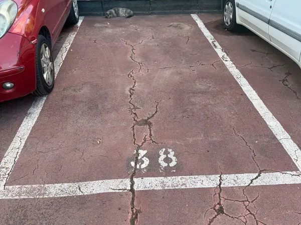🅿️ Place de parking n°38 - Savigny-sur-Orge (91)