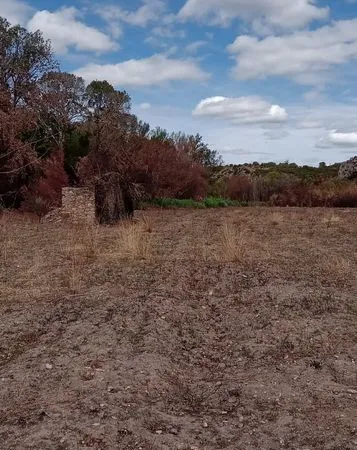 Terrain agricole avec cabanon