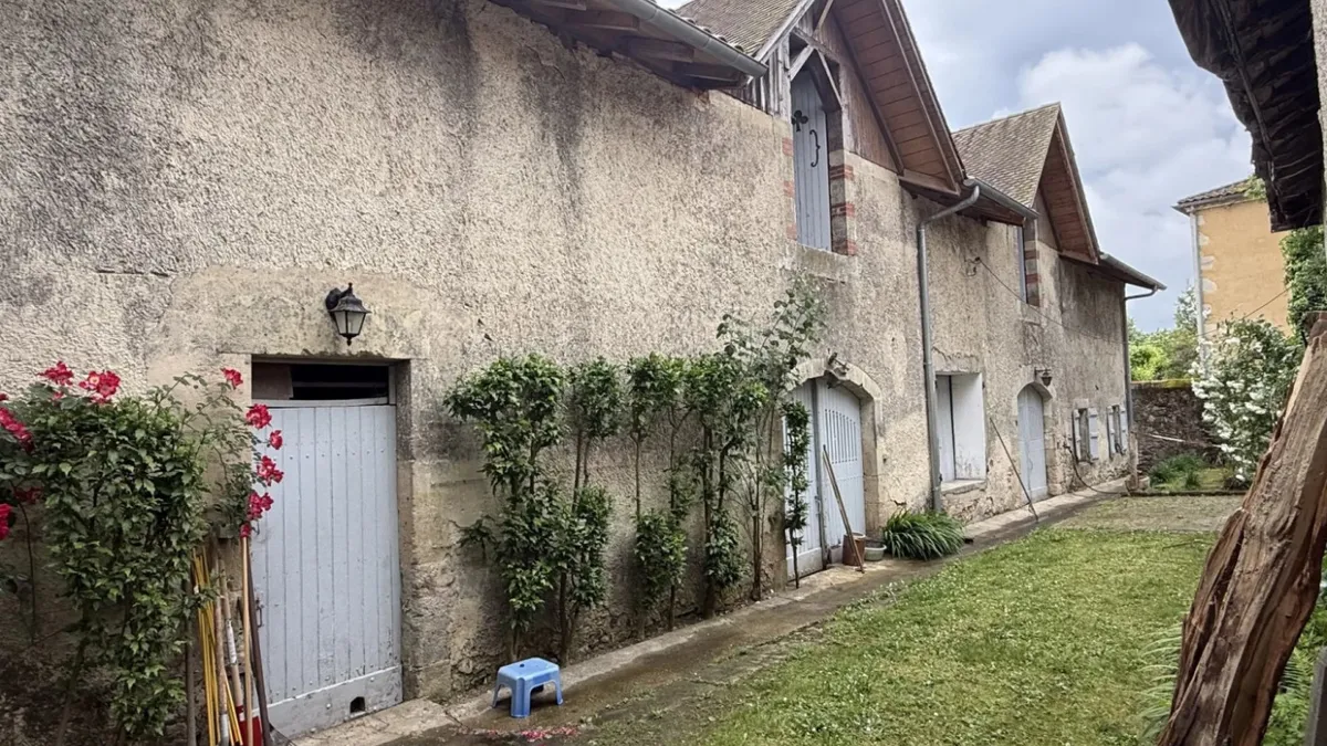 Photo 19