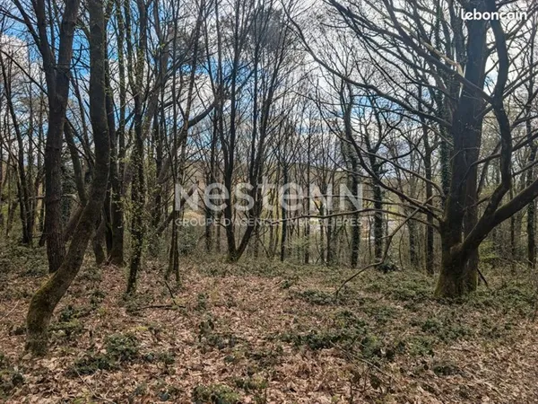 Terrain 24038 m² MOUSTOIR AC