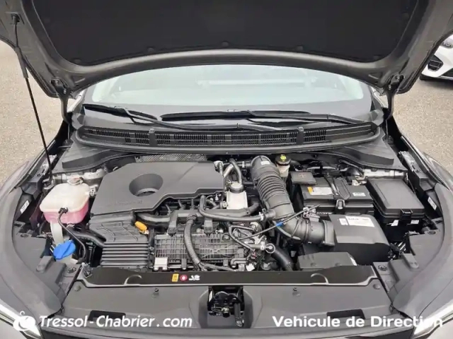 Kia Stonic 1.0 t-gdi 115 ch mhev dct7 — photo 29
