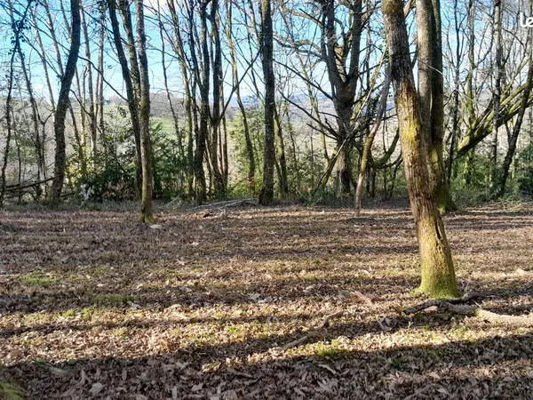 A LOUER Terrain boisé 3000m² isolé à la campagne en forêt LADIGNAC-SUR-RONDELLES
