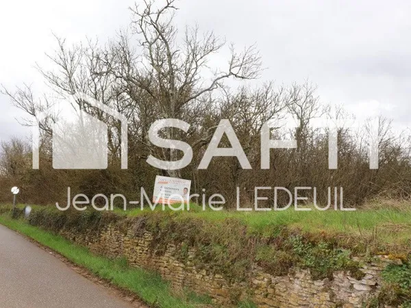 Terrain de loisir, vergers.
