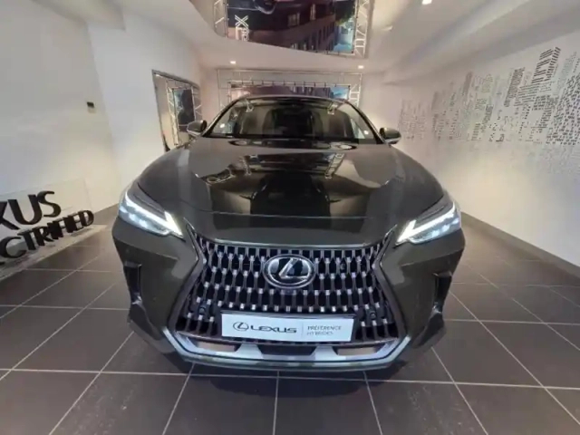 Lexus Nx 450h+ luxe 4wd my25 — photo 2