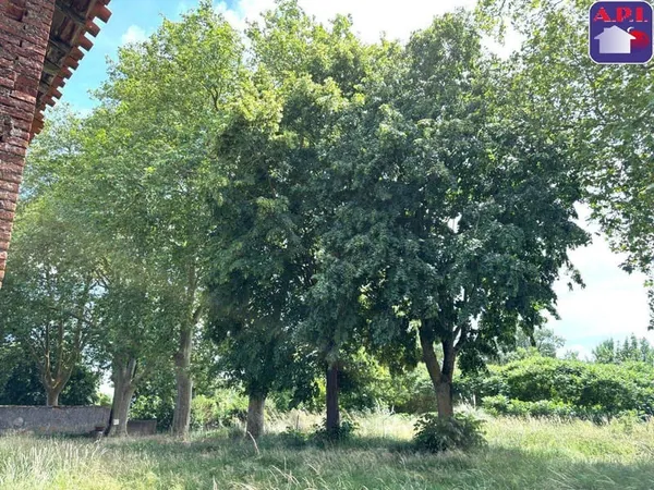 Ferme 6 pièces 225 m²