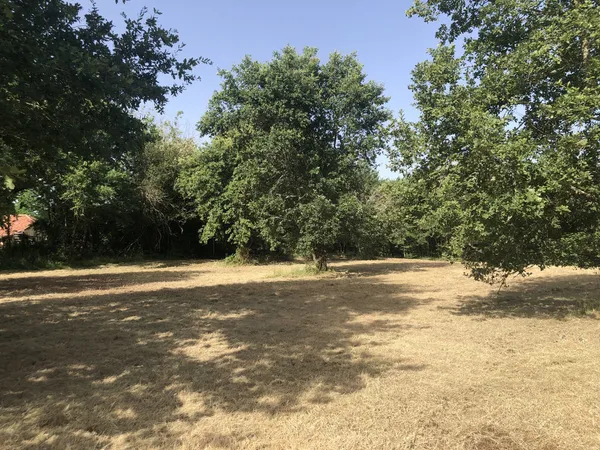 Terrain 8000m2