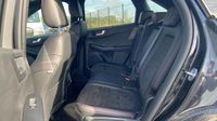 Ford Kuga 1.5 EcoBlue 120ch ST-Line X Powershift — photo 13