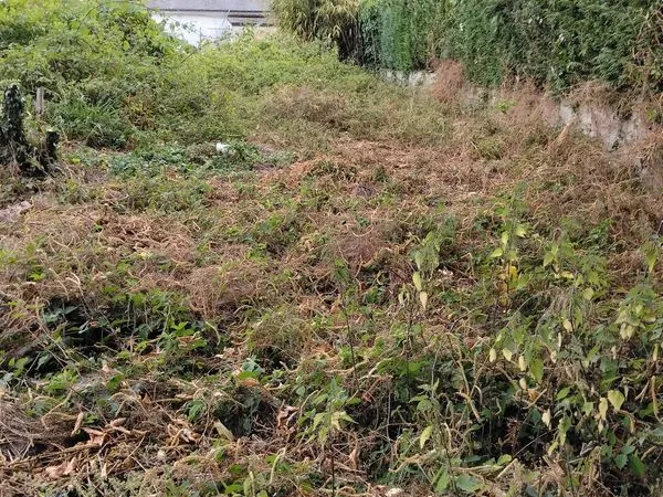 Terrain constructible