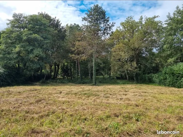 Vend terrain 11000m2 dont 905 m2 constructible